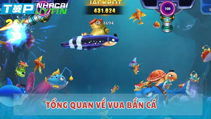 Vua Bắn Cá từ Debet, dễ chơi dễ thắng thưởng 4 Tổng quan về Vua Bắn Cá