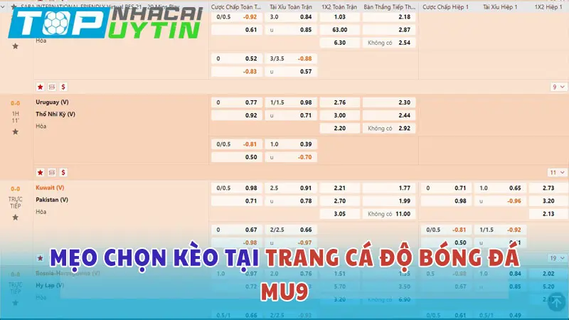 Trang cá độ bóng đá MU9: Chất lượng và uy tín bậc nhất 6 Mẹo chọn kèo cá độ bóng đá tại nhà cái MU9