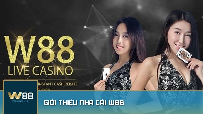 Game bài W88 – Trải nghiệm đỉnh cao tại nhà cái hàng đầu châu Á 3 giới thiệu w88 go vip